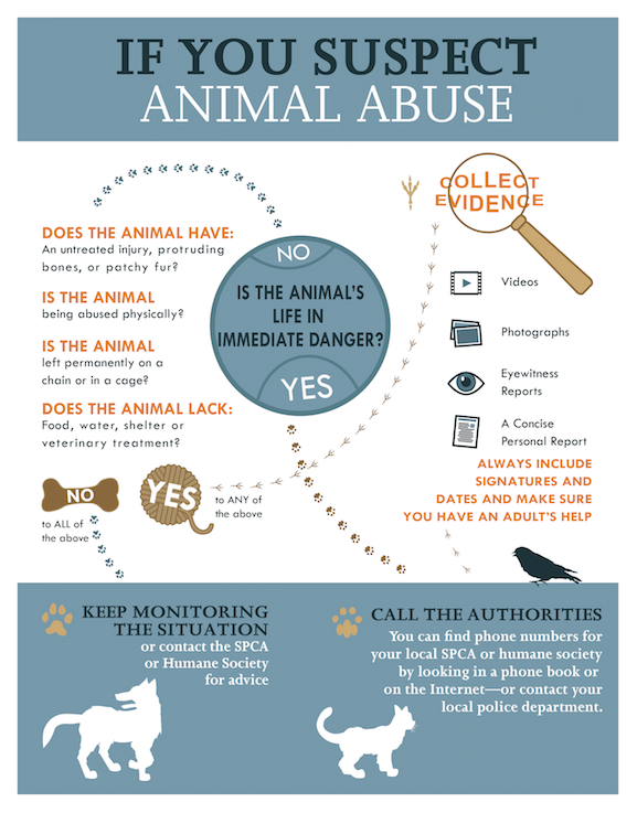 Responding to Animal Abuse